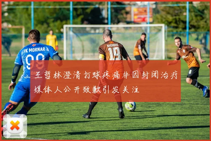 王哲林澄清打球疼痛非因封闭治疗媒体人公开致歉引发关注